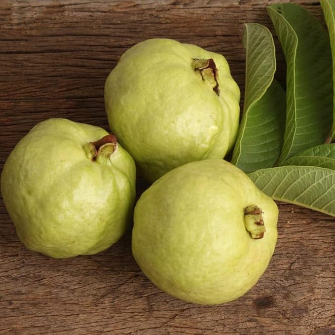 Guava Fruit Exotic (Peru)
