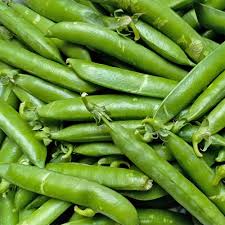 Green Peas (Matter)